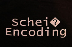 Standard Developer Shirt, Lizenz: (CC BY 2.0), Autor: https://www.flickr.com/photos/acidpix/