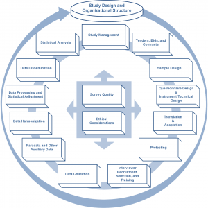 Survey Lifecycle from: Survey Research Center. (2016). Guidelines for Best Practice in Cross-Cultural Surveys. Ann Arbor, MI: Survey Research Center, Institute for Social Research, University of Michigan. Retrieved September, 12, 2016, from http://www.ccsg.isr.umich.edu/